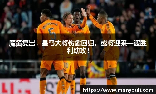 新利体育