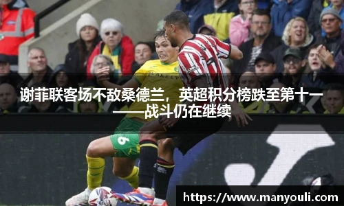 谢菲联客场不敌桑德兰，英超积分榜跌至第十一——战斗仍在继续